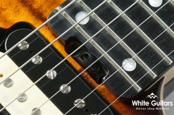 NV-3-24-AL-VTR - Bengal Burst #S2006141